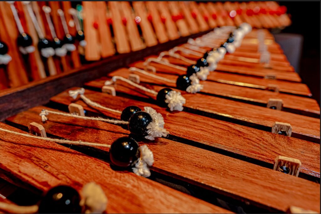 Instrumentos de Joaquín Orellana
