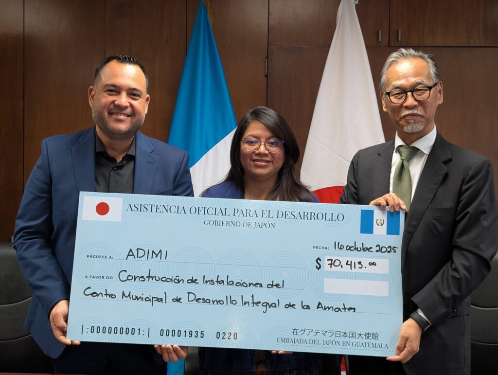 ADIMI y Japón