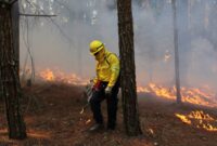 INAB DESTACA LA LABOR DE LOS COMBATIENTES FORESTALES Y REFUERZA ACCIONES PARA PREVENIR INCENDIOS EN GUATEMALA